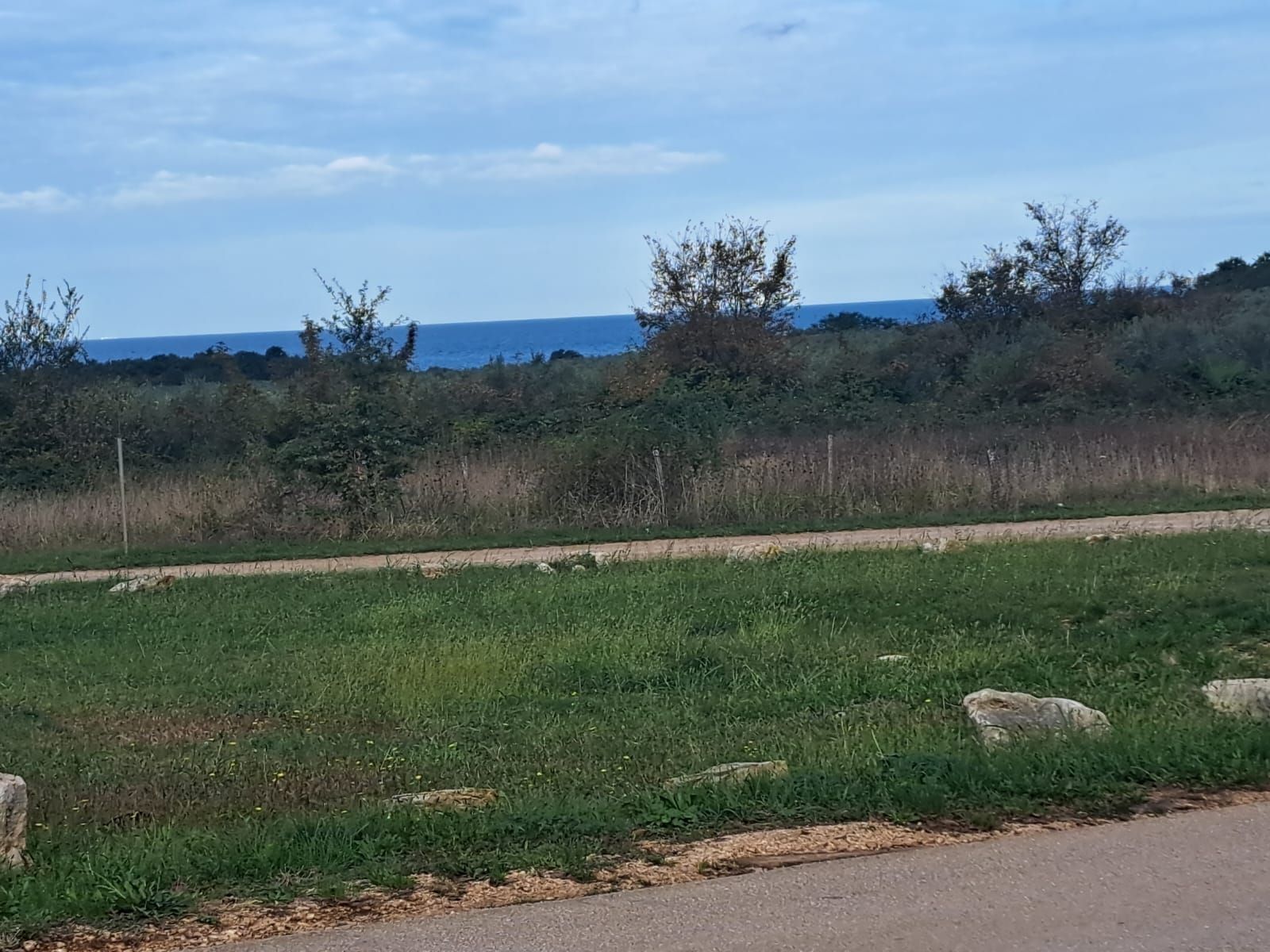 Fotografija