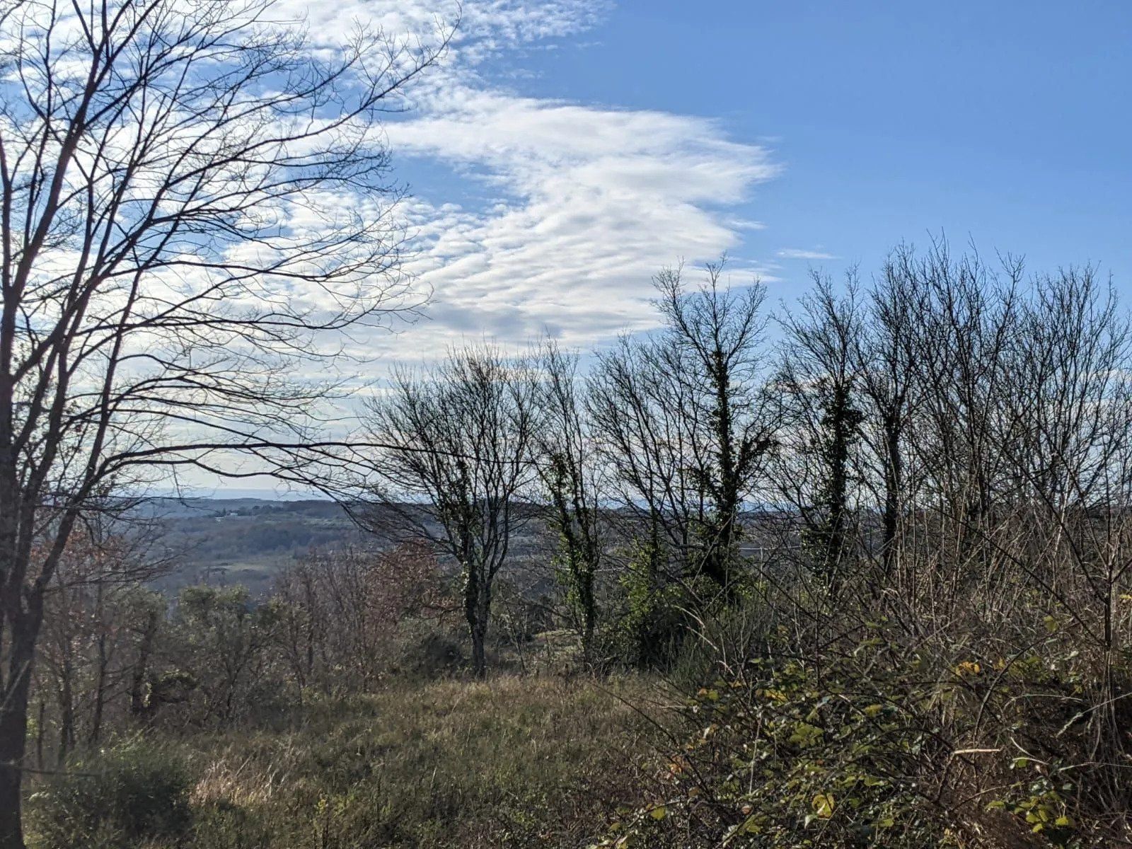 Fotografija