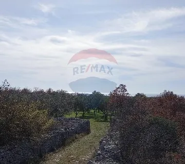 Istra, okolica Vodnjana, maslinik na 2 čestice - cover