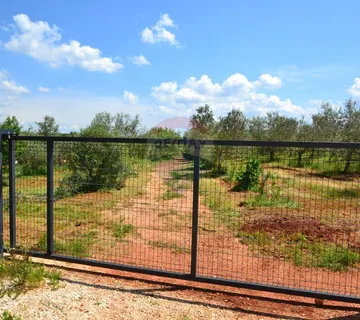 Novigrad, maslinik površine 14349 m2 s gospodarskom zgradom - cover