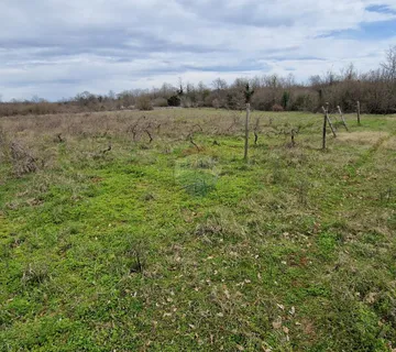Istra, Bokordići, Negrađevinsko Zemljište 5565m2 - cover
