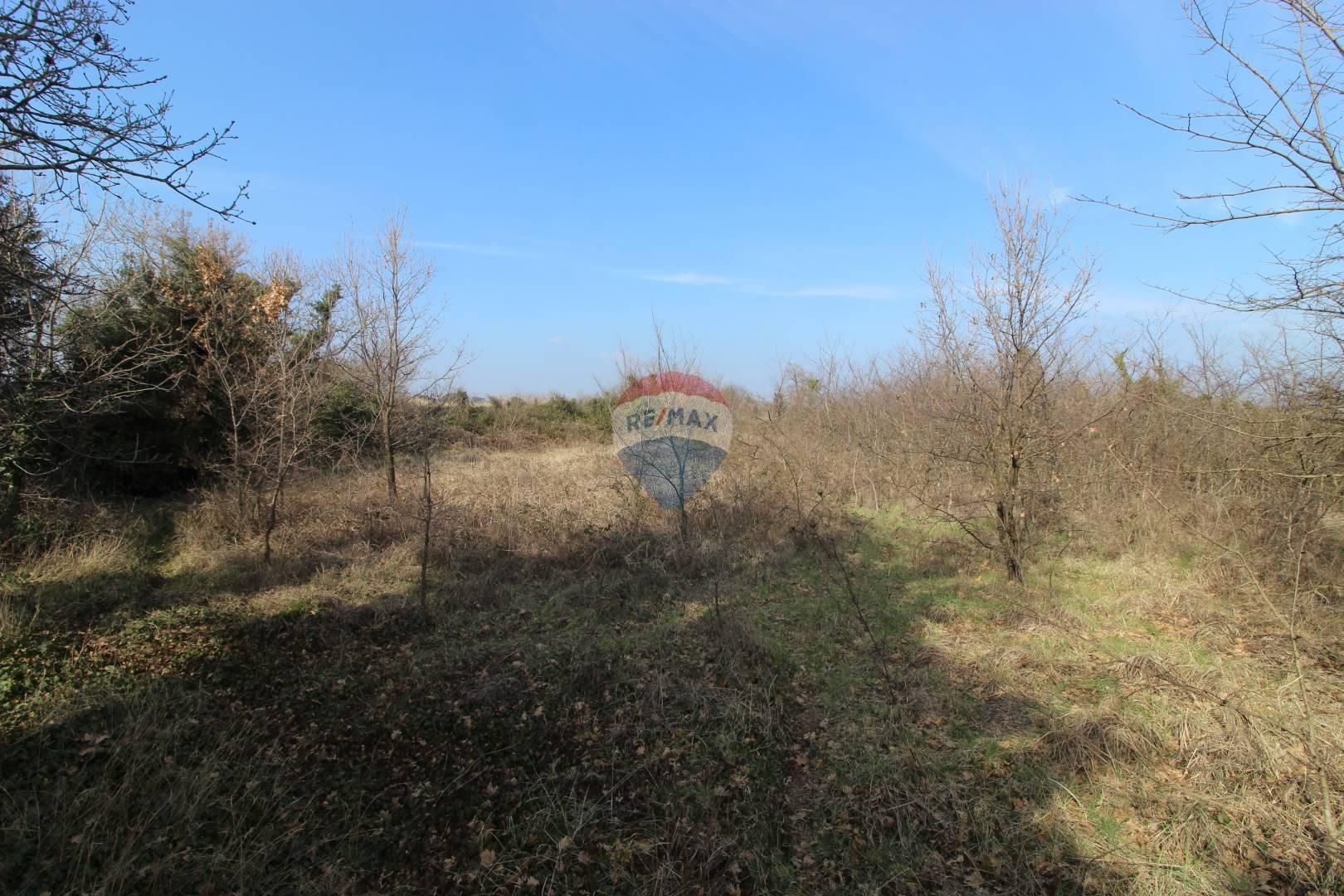 Fotografija