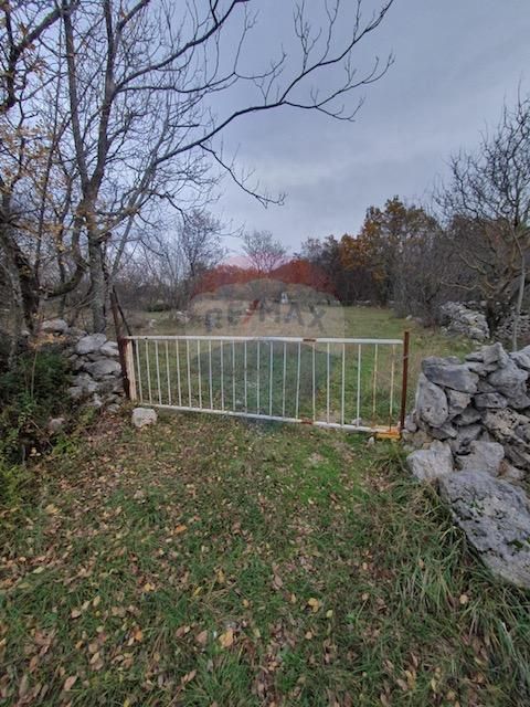 Fotografija