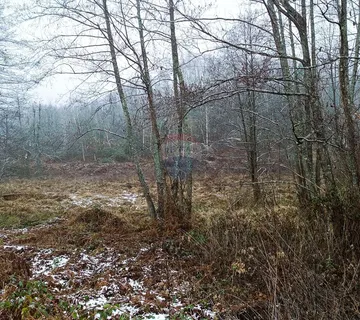 Karlovac,Skakavac-poljoprivredno zemljište 8 232 m2 - cover