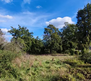 Žminj, okolica, građevinsko zemljište 2290 m2 - cover