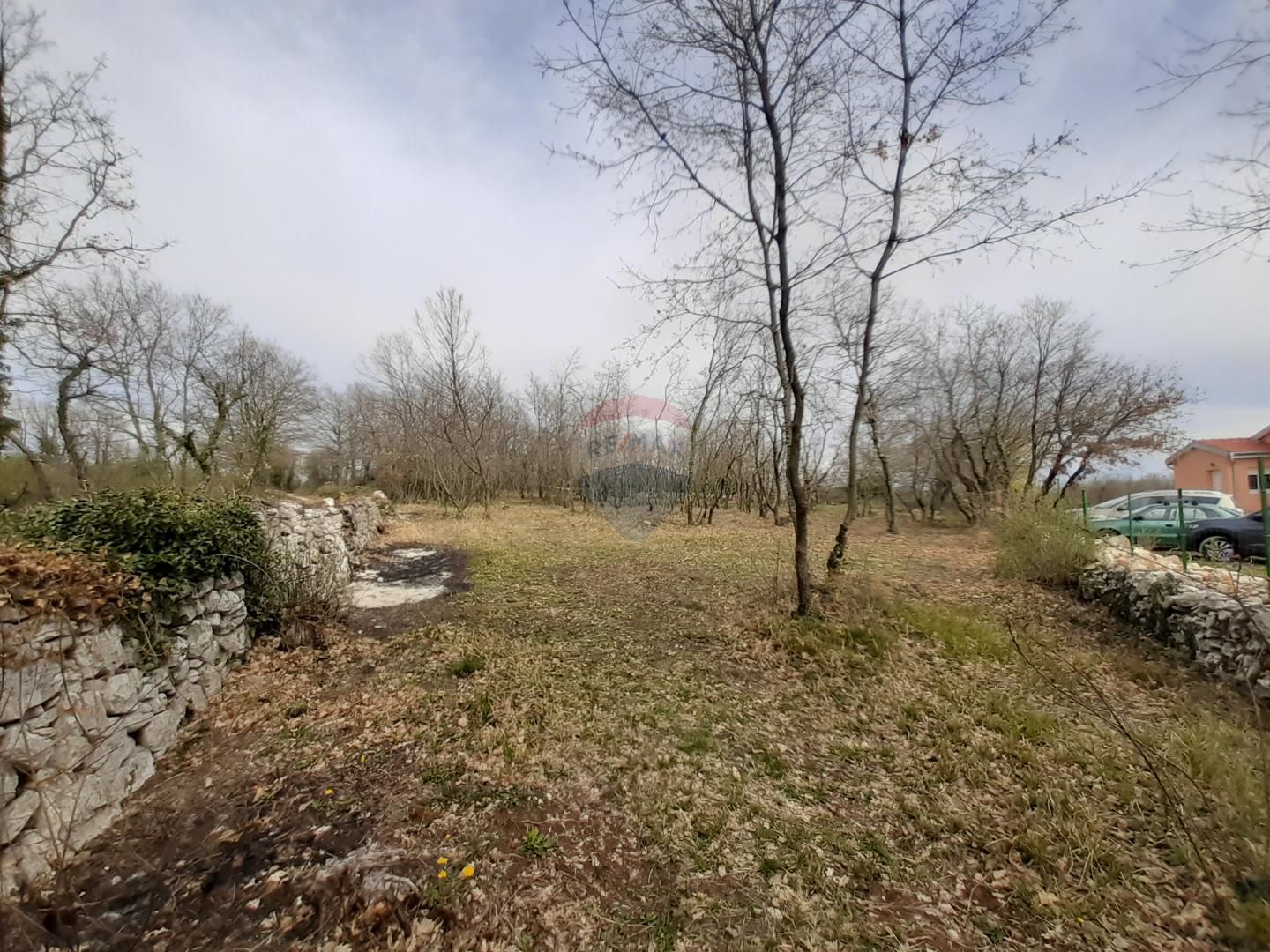 Fotografija
