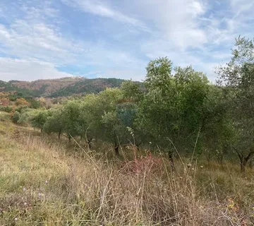 Grimalda- maslinik s pogledom na jezero, 23.064m2 - cover