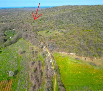 Istra,Rovinj-8km,prekrasna šuma - cover