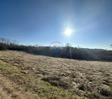 Istra, Karojba građevinski teren pravilnog oblika   - cover