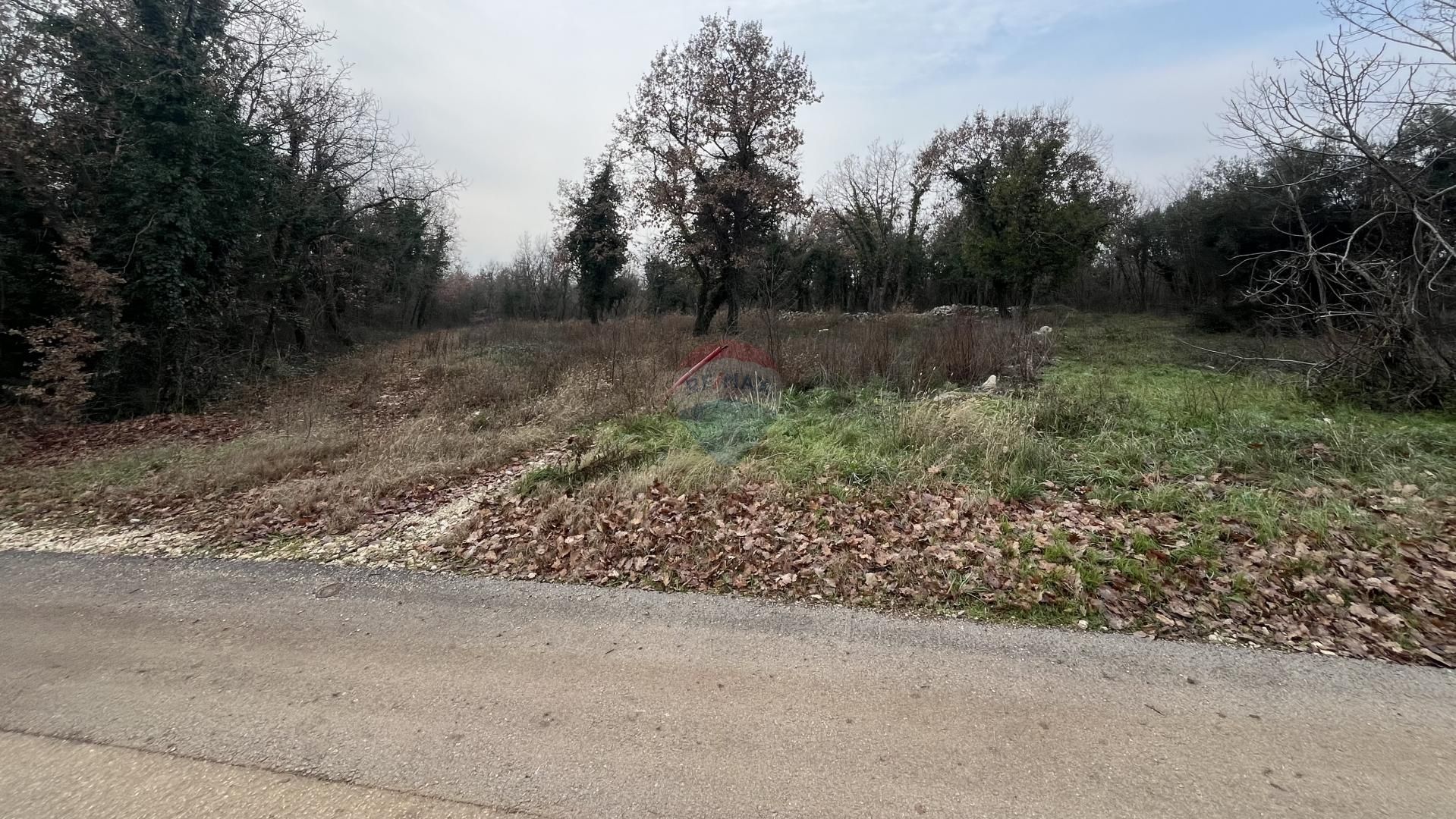 Fotografija