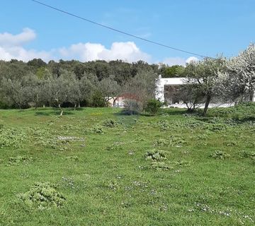 Istra, Štinjan - Građevinsko zemljište u blizini mora 660m2 - cover