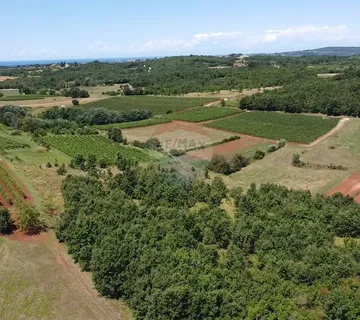 Istra, Vižinada, poljoprivredno zemljište 10286 m2 - cover