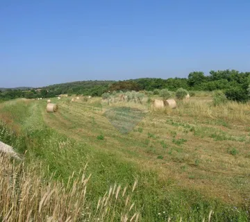 Rovinj, Poljoprivredno zemljište na izvrsnoj lokaciji, 9743m2 - cover