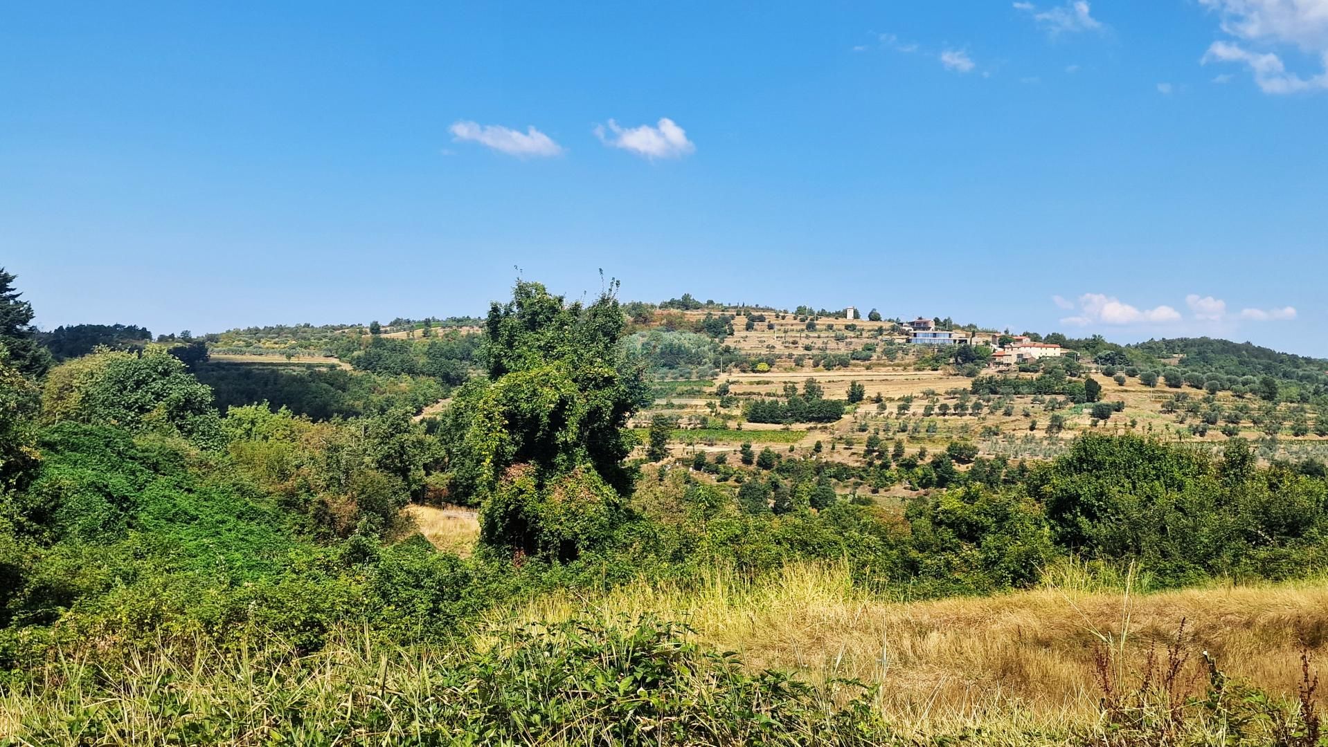 Fotografija