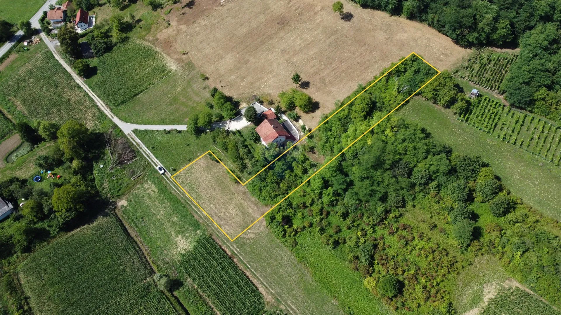 Fotografija