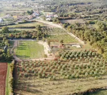 Istra, Vodnjan, imanje s maslinama i dozvolom za gradnju - cover