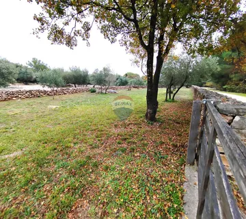 OTOK KRK-GRAD KRK  maslinik - cover