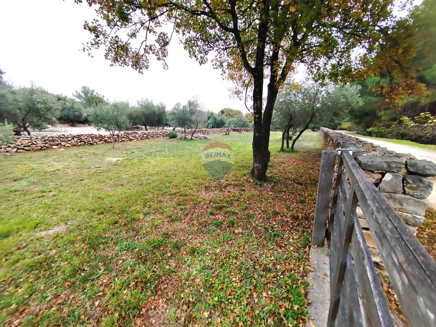 OTOK KRK-GRAD KRK  maslinik - cover