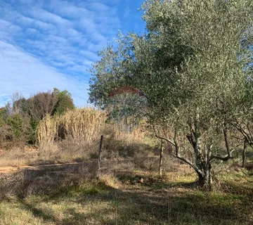 Istra, Poreč, građevinsko zemljište od 1050 m2 na atraktivnoj lokaciji i 500 m2 od  mora - cover