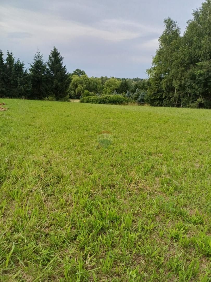 Fotografija