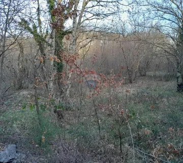 Istra,Orbanići,šuma i pašnjaci - cover