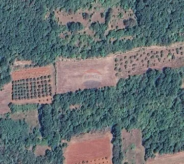 Istra, Poreč, Baderna - poljoprivredno zemljište - cover