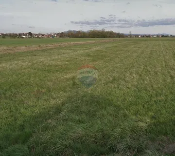 Brezovica, Poljoprivredno zemljište 5.882 m2 - cover