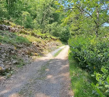 MATULJI, ZVONEĆA - građevinsko zemljište 5387 m2 - cover