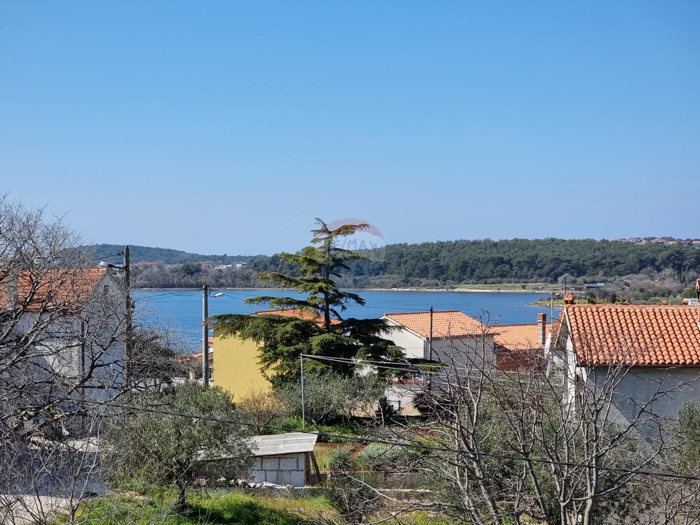 Fotografija