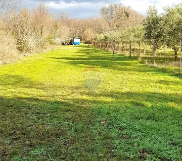 Krk,Brzac poljoprivretedno zemljiš - cover