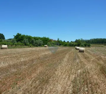 Poljoprivredno zemljište u Kašteliru - cover