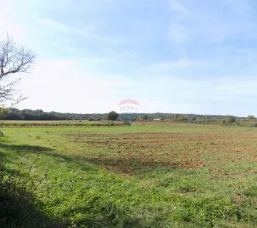 ISTRA, BARBAN - Povoljno poljoprivredno zemljište - cover