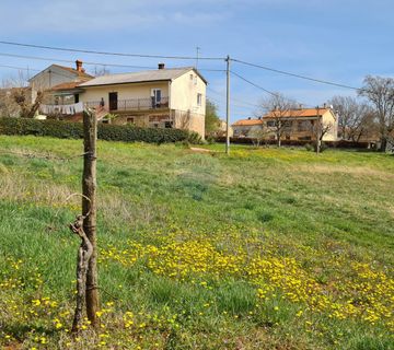 Istra, Karojba: Lijepa građevinska parcela južne orijentacije - cover