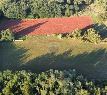 Istra, Brtonigla, 25109 m2 poloprivredno zemljište - cover