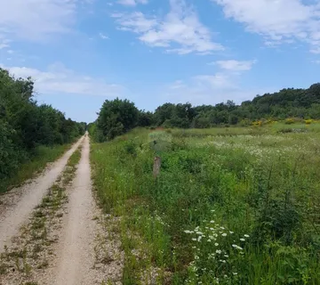 Rovinj, poljoprivredno zemljište za ucrtanom kučicom  - cover