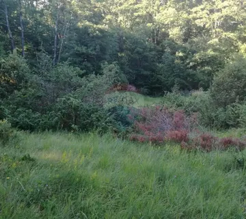 VELI BRGUD - negrađevinsko zemljište - cover