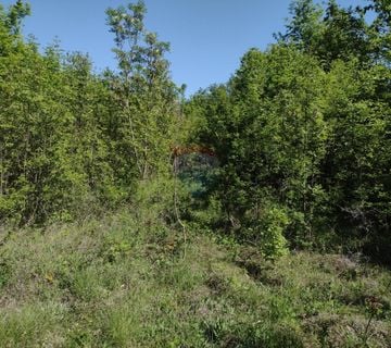 KANFANAR, ISTRA, GRAĐEVINSKI TEREN 2200m2 - cover