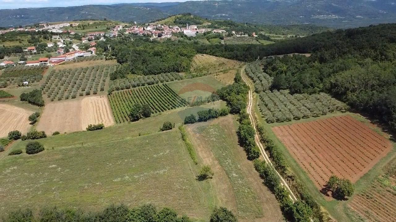 Fotografija