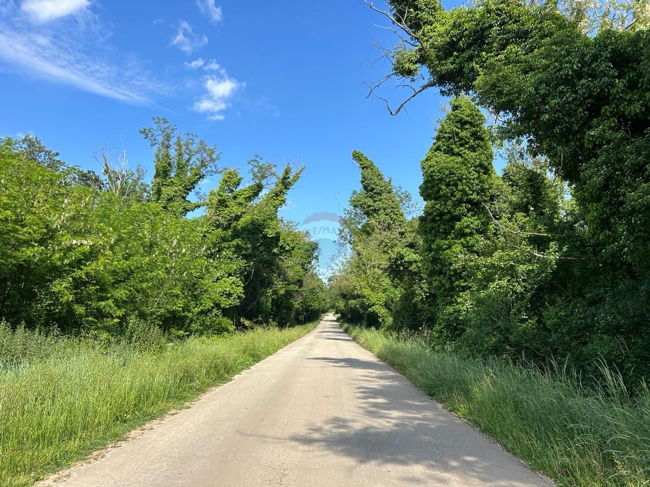 Fotografija