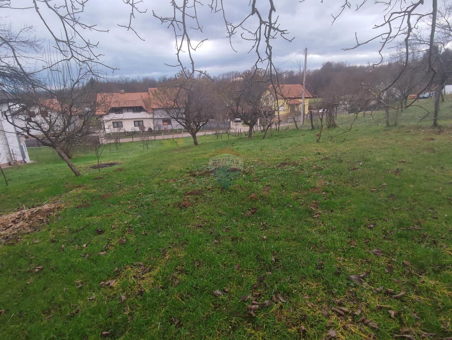 Fotografija