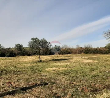 Istra, Rovinj, lijepa poljoprivredna parcela  - cover