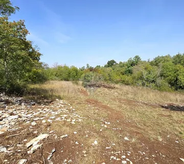 Istra, Buje okolica, negrađevinsko zemljište 16 170 m2 - cover