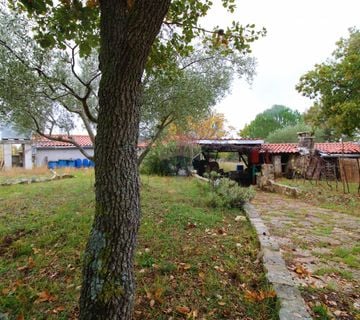 Rovinj,kuća 70m2 na velikoj okućnici-6500m2-za investiciju - cover