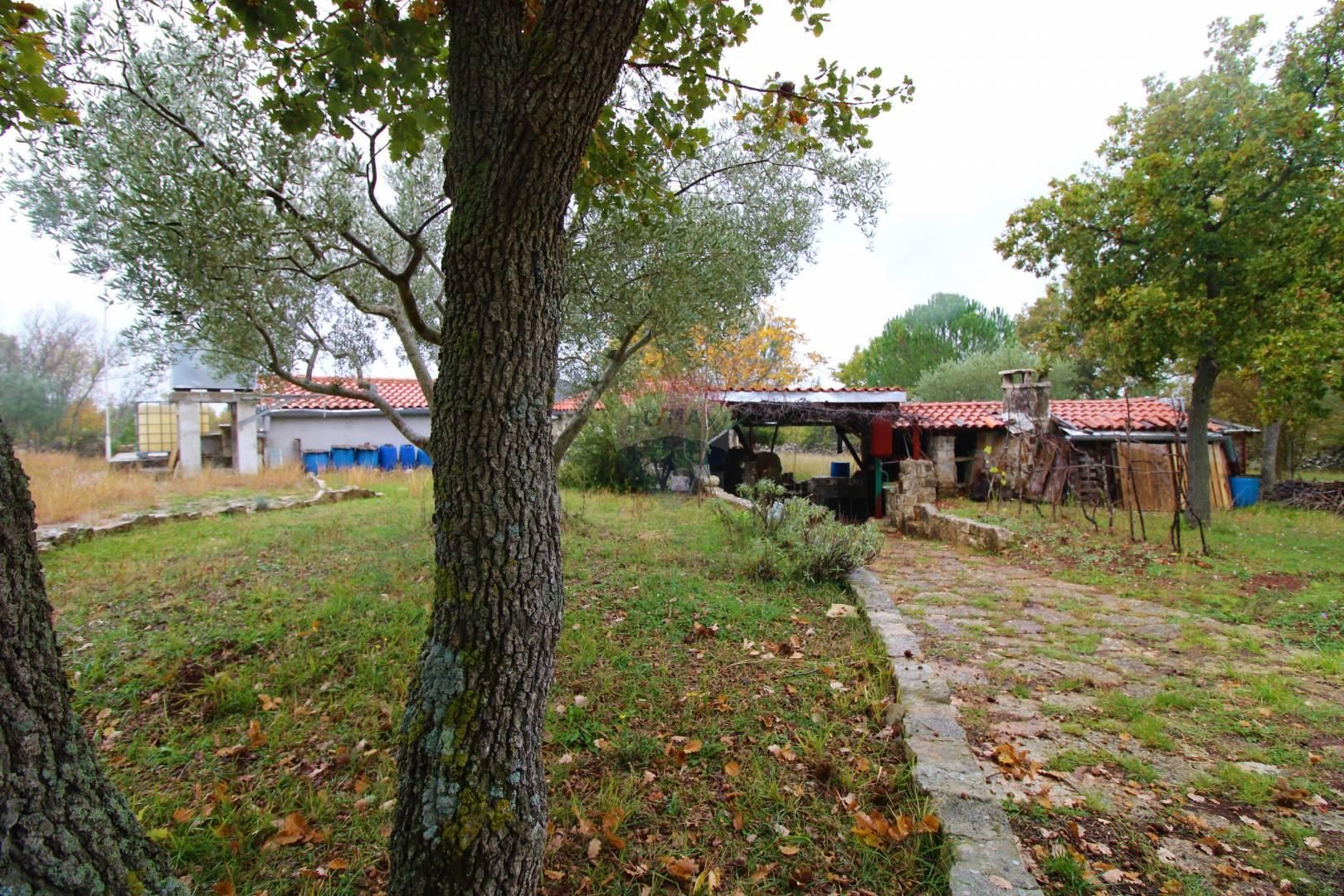 Fotografija