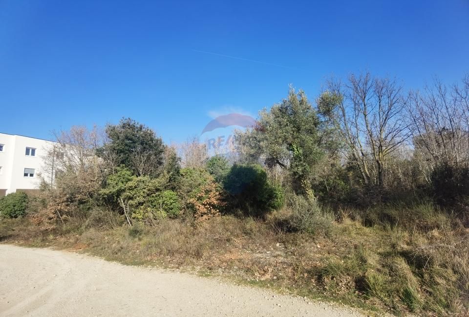 Fotografija