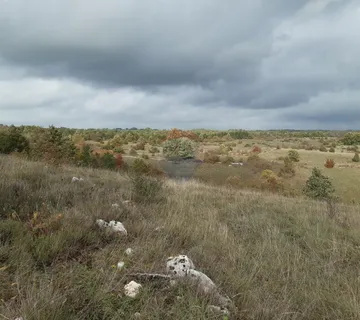 Istra, Žminj okolica poljoprivredna parcela 24839m2 - cover