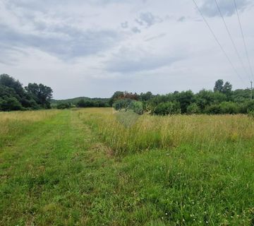 Istra, Gradina, veliko zemljište sa zahtjevom za urbanizaciju. - cover