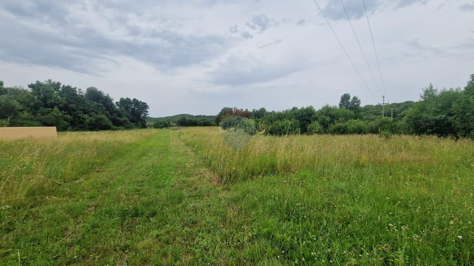Fotografija