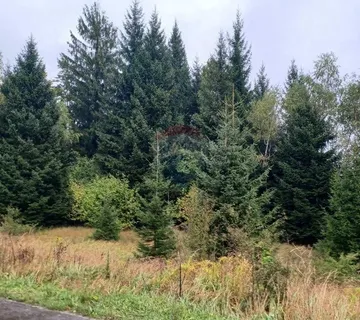 Gorski Kotar - Mrkopalj (poljoprivredni teren) - cover