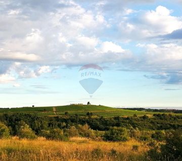 Istra, Buje - građevinsko zemljište, pogled na more, top lokacija - cover